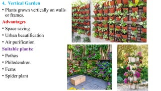 4. Vertical Garden
• Plants grown vertically on walls
or frames.
Advantages
• Space saving
• Urban beautification
• Air purification
Suitable plants:
• Pothos
• Philodendron
• Ferns
• Spider plant
 