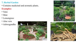 7. Herbal Garden
• Contains medicinal and aromatic plants.
Examples:
• Tulsi
• Mint
• Lemongrass
• Aloe vera
• Ashwagandha
 
