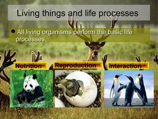 Living things and life processes
All living organisms perform the basic life
processes.
processes

Nutrition

Reproductio...