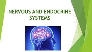 NERVOUS AND ENDOCRINE
SYSTEMS
 