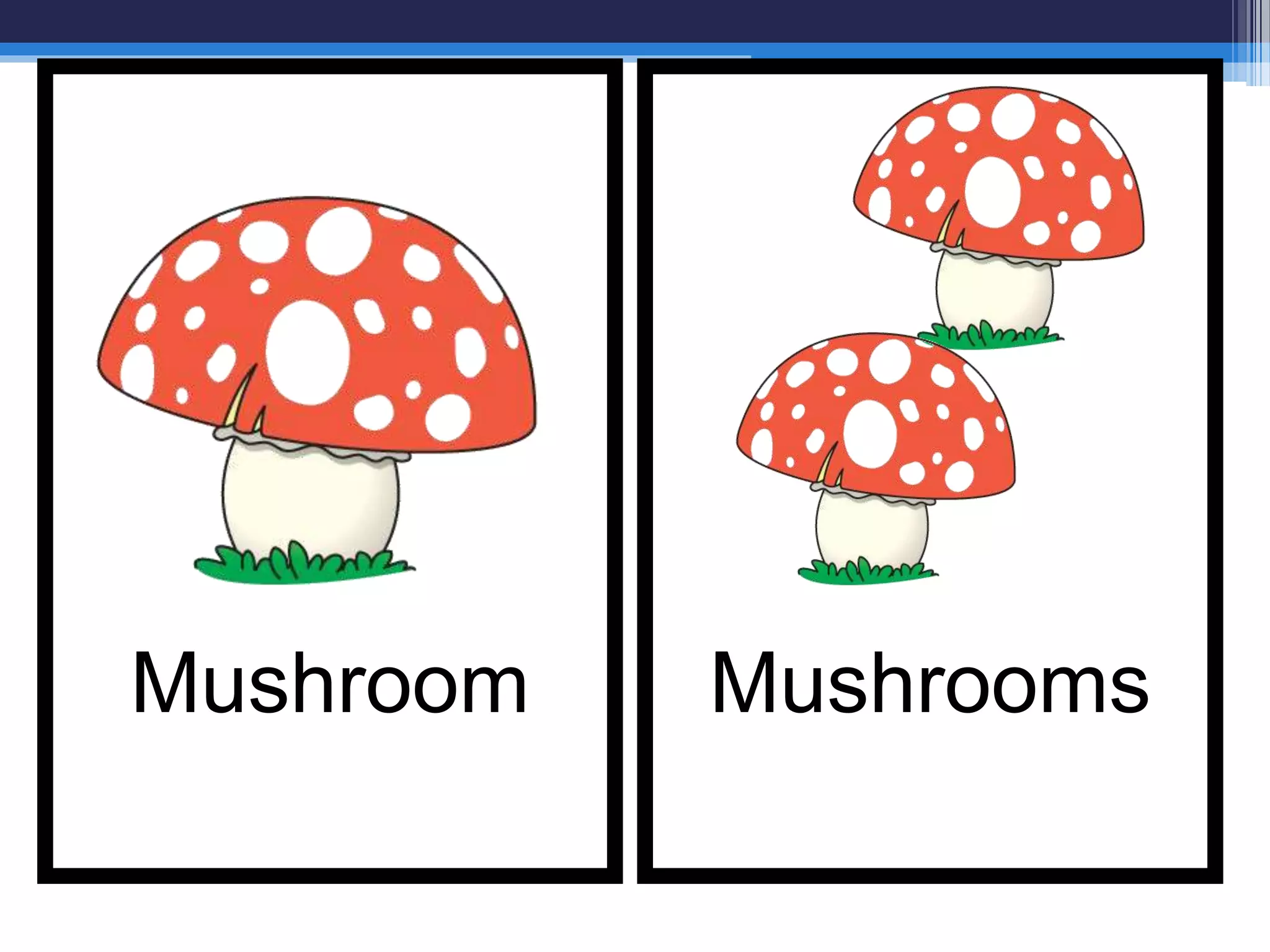 MushroomsMushroom
 