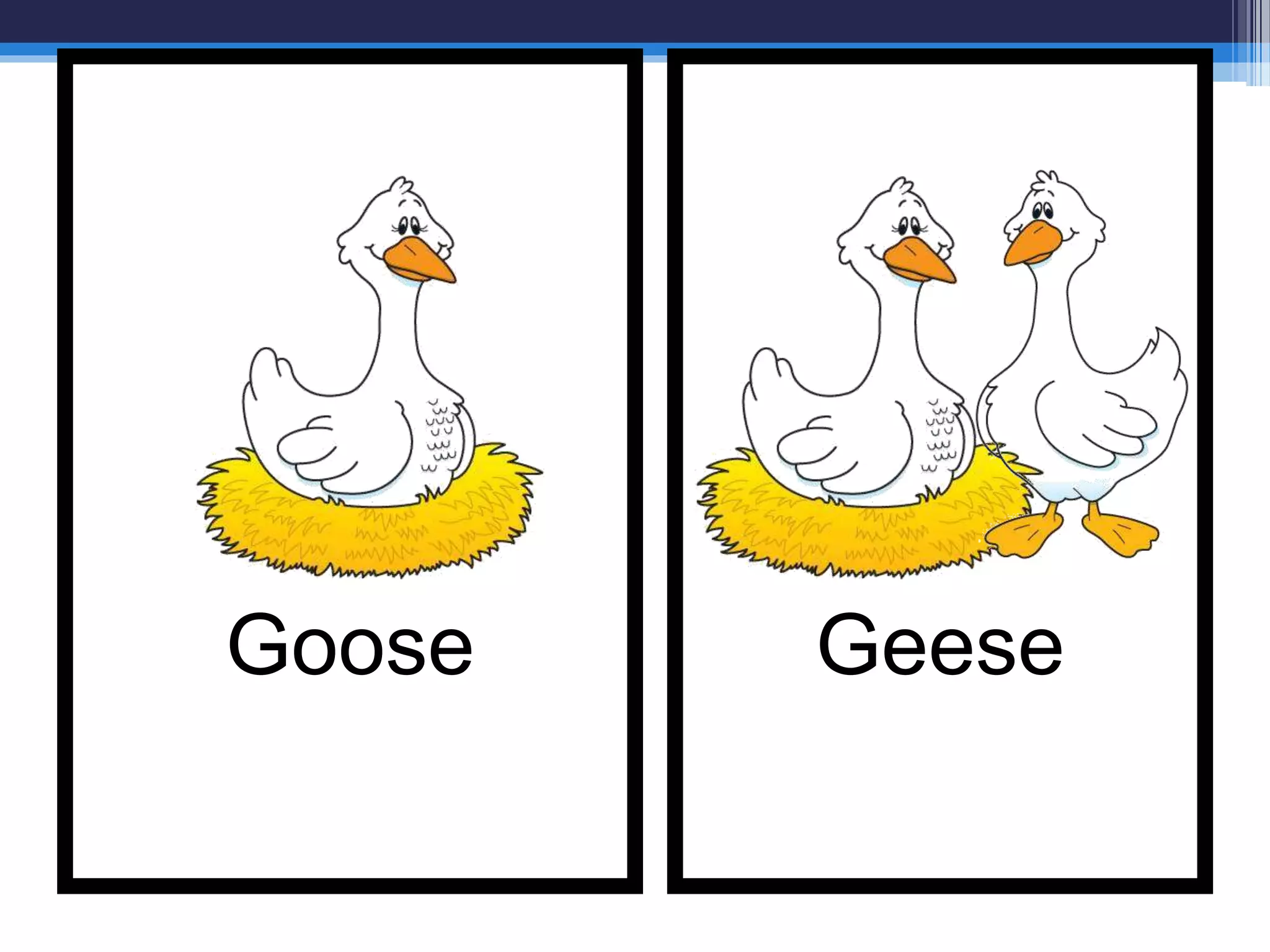 GeeseGoose
 