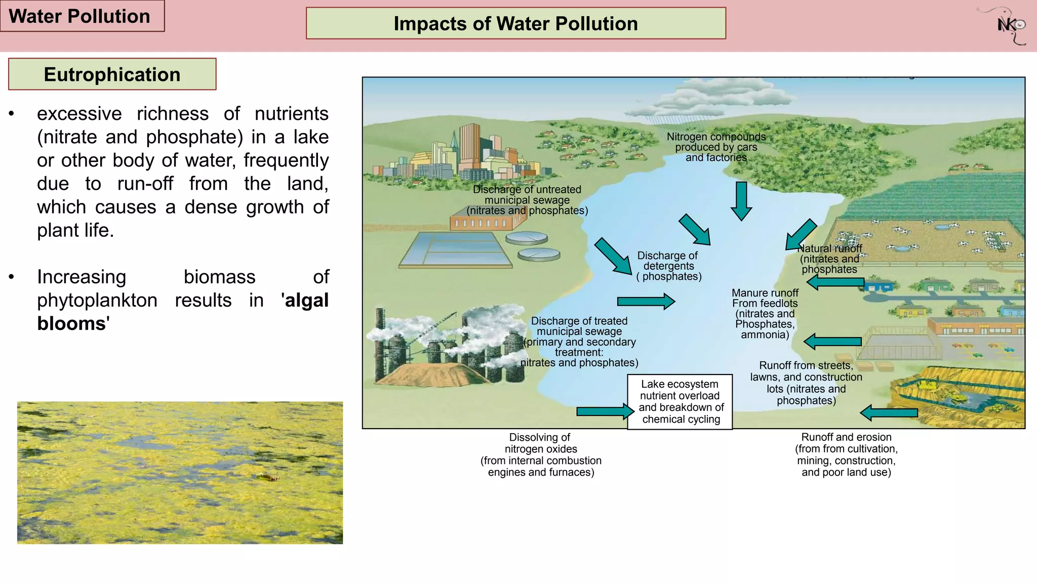 Impacts of Water Pollution
Water Pollution
Eutrophication
Discharge of untreated
municipal sewage
(nitrates and phosphates)
Nitrogen compounds
produced by cars
and factories
Discharge of treated
municipal sewage
(primary and secondary
treatment:
nitrates and phosphates)
Discharge of
detergents
( phosphates)
Natural runoff
(nitrates and
phosphates
Manure runoff
From feedlots
(nitrates and
Phosphates,
ammonia)
Dissolving of
nitrogen oxides
(from internal combustion
engines and furnaces)
Runoff and erosion
(from from cultivation,
mining, construction,
and poor land use)
Runoff from streets,
lawns, and construction
lots (nitrates and
phosphates)
Lake ecosystem
nutrient overload
and breakdown of
chemical cycling
• excessive richness of nutrients
(nitrate and phosphate) in a lake
or other body of water, frequently
due to run-off from the land,
which causes a dense growth of
plant life.
• Increasing biomass of
phytoplankton results in 'algal
blooms'
 