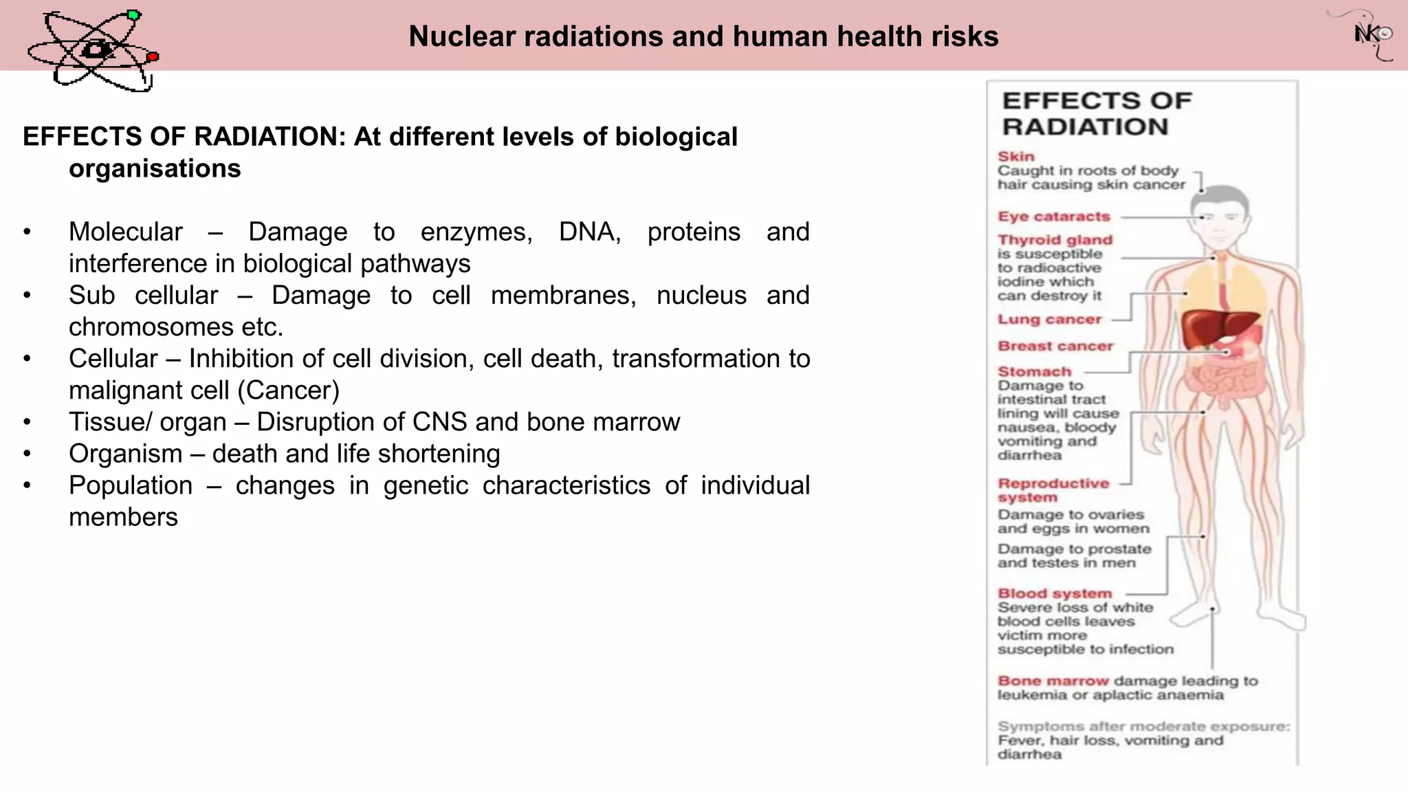 Nuclear radiations and human health risks
EFFECTS OF RADIATION: At different levels of biological
organisations
• Molecular – Damage to enzymes, DNA, proteins and
interference in biological pathways
• Sub cellular – Damage to cell membranes, nucleus and
chromosomes etc.
• Cellular – Inhibition of cell division, cell death, transformation to
malignant cell (Cancer)
• Tissue/ organ – Disruption of CNS and bone marrow
• Organism – death and life shortening
• Population – changes in genetic characteristics of individual
members
 