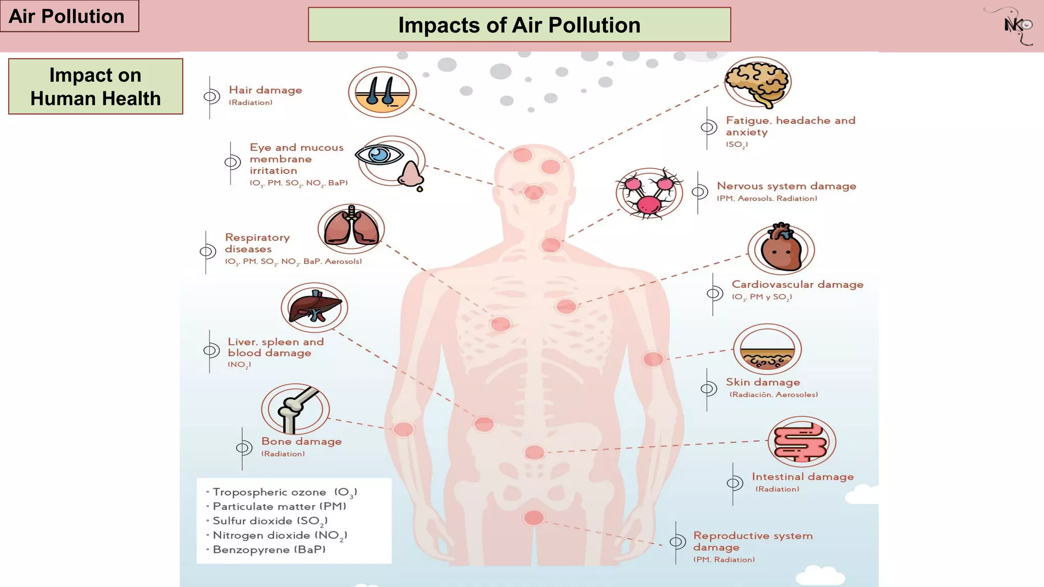 Impacts of Air Pollution
Air Pollution
Impact on
Human Health
 