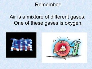 Remember!

Air is a mixture of different gases.
  One of these gases is oxygen.
 