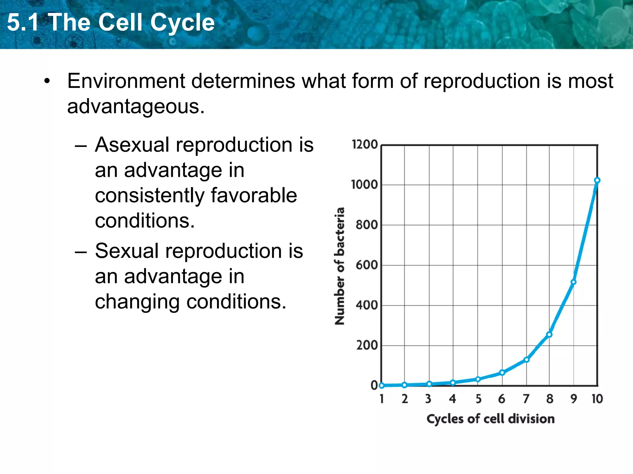 5.1 The Cell Cycle

   • Environment determines what form of reproduction is most
     advantageous.
      – Asexual reproduction is
        an advantage in
        consistently favorable
        conditions.
      – Sexual reproduction is
        an advantage in
        changing conditions.
 