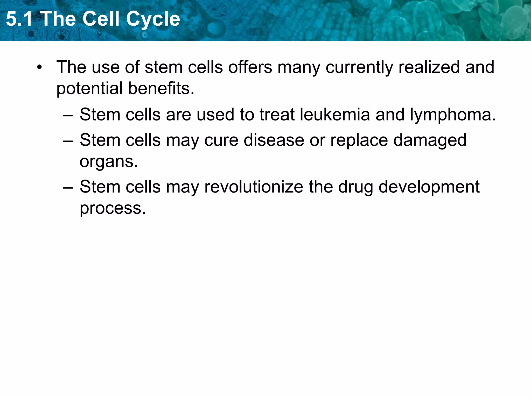 5.1 The Cell Cycle

   • The use of stem cells offers many currently realized and
     potential benefits.
      – Stem cells are used to treat leukemia and lymphoma.
      – Stem cells may cure disease or replace damaged
        organs.
      – Stem cells may revolutionize the drug development
        process.
 