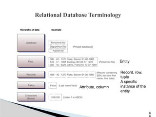 Relational Database Terminology
6
Record, row,
tuple
A specific
instance of the
entity
Attribute, column
Entity
 