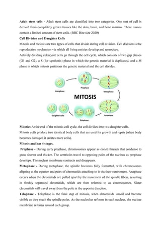Adult stem cells - Adult stem cells are classified into two categories. One sort of cell is
derived from completely grown tissues like the skin, brain, and bone marrow. These tissues
contain a limited amount of stem cells. (BBC Bite size 2020)
Cell Division and Daughter Cells
Mitosis and meiosis are two types of cells that divide during cell division. Cell division is the
reproductive mechanism via which all living entities develop and reproduce.
Actively dividing eukaryote cells go through the cell cycle, which consists of two gap phases
(G1 and G2), a S (for synthesis) phase in which the genetic material is duplicated, and a M
phase in which mitosis partitions the genetic material and the cell divides.
Mitotic: At the end of the mitosis cell cycle, the cell divides into two daughter cells.
Mitosis cells produce two identical body cells that are used for growth and repair (when body
becomes damaged it creates more cells).
Mitosis and has 4 stages.
Prophase - During early prophase, chromosomes appear as coiled threads that condense to
grow shorter and thicker. The centrioles travel to opposing poles of the nucleus as prophase
develops. The nuclear membrane contracts and disappears.
Metaphase - During metaphase, the spindle becomes fully formatted, with chromosomes
aligning at the equator and pairs of chromatids attaching to it via their centromere. Anaphase
occurs when the chromatids are pulled apart by the movement of the spindle fibers, resulting
in freshly separated chromatids, which are then referred to as chromosomes. Sister
chromatids will travel away from the pole in the opposite direction.
Telophase - Telophase is the final step of mitosis, when chromatids uncoil and become
visible as they reach the spindle poles. As the nucleolus reforms in each nucleus, the nuclear
membrane reforms around each group.
 
