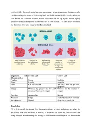 need to divide, the mitotic stage becomes unregulated. It is at this moment that cancer cells
can form; cells gain control of their own growth and divide uncontrollably, forming a lump of
cells known as a tumour, whereas normal cells (seen in the top figure) remain tightly
controlled and do not expand at an abnormal rate or form clusters. The table below illustrates
the distinction between a cancer cell and a normal cell.
Organelles and
Characteristics
Normal Cell Cancer Cell
Nucleus Single Multiple
Shape Regular Irregular
Death Can self-destruct No only able to perform
apoptosis
Energy Obtained by glucose and the ATP
molecule Presence of oxygen
Obtained in the absence of
oxygen
Function Abnormality Normal
Nucleous Single Multiple and darker coloured
Reproduction Normal Reproduces massively
Conclusion
All cells in most living things, from humans to animals to plants and organs, are alive. It's
astonishing how cells proliferate in a variety of ways and can repair and function even after
being damaged. Understanding cell biology is critical to understanding how our bodies work
 
