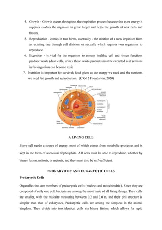 4. Growth - Growth occurs throughout the respiration process because the extra energy it
supplies enables the organism to grow larger and helps the growth of new cells and
tissues.
5. Reproduction - comes in two forms, asexually - the creation of a new organism from
an existing one through cell division or sexually which requires two organisms to
reproduce.
6. Excretion - is vital for the organism to remain healthy; cell and tissue functions
produce waste (dead cells, urine), these waste products must be excreted as if remains
in the organism can become toxic
7. Nutrition is important for survival; food gives us the energy we need and the nutrients
we need for growth and reproduction. (CK-12 Foundation, 2020)
A LIVING CELL
Every cell needs a source of energy, most of which comes from metabolic processes and is
kept in the form of adenosine triphosphate. All cells must be able to reproduce, whether by
binary fusion, mitosis, or meiosis, and they must also be self-sufficient.
PROKARYOTIC AND EUKARYOTIC CELLS
Prokaryotic Cells
Organelles that are members of prokaryotic cells (nucleus and mitochondria). Since they are
composed of only one cell, bacteria are among the most basic of all living things. Their cells
are smaller, with the majority measuring between 0.2 and 2.0 m, and their cell structure is
simpler than that of eukaryotes. Prokaryotic cells are among the simplest in the animal
kingdom. They divide into two identical cells via binary fission, which allows for rapid
 