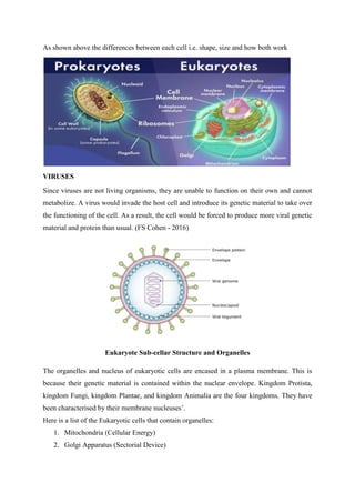 As shown above the differences between each cell i.e. shape, size and how both work
VIRUSES
Since viruses are not living organisms, they are unable to function on their own and cannot
metabolize. A virus would invade the host cell and introduce its genetic material to take over
the functioning of the cell. As a result, the cell would be forced to produce more viral genetic
material and protein than usual. (FS Cohen - 2016)
Eukaryote Sub-cellar Structure and Organelles
The organelles and nucleus of eukaryotic cells are encased in a plasma membrane. This is
because their genetic material is contained within the nuclear envelope. Kingdom Protista,
kingdom Fungi, kingdom Plantae, and kingdom Animalia are the four kingdoms. They have
been characterised by their membrane nucleuses’.
Here is a list of the Eukaryotic cells that contain organelles:
1. Mitochondria (Cellular Energy)
2. Golgi Apparatus (Sectorial Device)
 