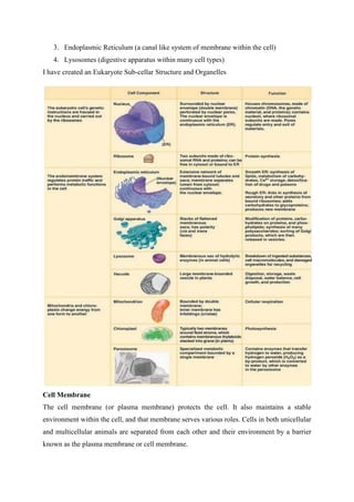 3. Endoplasmic Reticulum (a canal like system of membrane within the cell)
4. Lysosomes (digestive apparatus within many cell types)
I have created an Eukaryote Sub-cellar Structure and Organelles
Cell Membrane
The cell membrane (or plasma membrane) protects the cell. It also maintains a stable
environment within the cell, and that membrane serves various roles. Cells in both unicellular
and multicellular animals are separated from each other and their environment by a barrier
known as the plasma membrane or cell membrane.
 