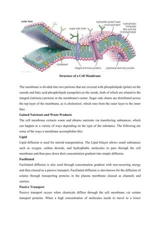 Structure of a Cell Membrane
The membrane is divided into two portions that are covered with phospholipids (polar) on the
outside and fatty acid phospholipids (nonpolar) on the inside, both of which are related to the
integral (intrinsic) proteins in the membrane's center. Sugar side chains are distributed across
the top layer of the membrane, as is cholesterol, which runs from the outer layer to the inner
face.
Gained Nutrients and Waste Products
The cell membrane extracts waste and obtains nutrients via transferring substances, which
can happen in a variety of ways depending on the type of the substance. The following are
some of the ways a membrane accomplishes this:
Lipid
Lipid diffusion is used for steroid transportation. The Lipid bilayer allows small substances
such as oxygen, carbon dioxide, and hydrophobic molecules to pass through the cell
membrane and then pass down their concentration gradient into simple diffusion.
Facilitated
Facilitated diffusion is also used through concentration gradient with non-recurring energy
and then classed as a passive transport. Facilitated diffusion is also known for the diffusion of
solutes through transporting proteins in the plasma membrane classed as channels and
carriers.
Passive Transport
Passive transport occurs when chemicals diffuse through the cell membrane via certain
transport proteins. When a high concentration of molecules needs to travel to a lower
 