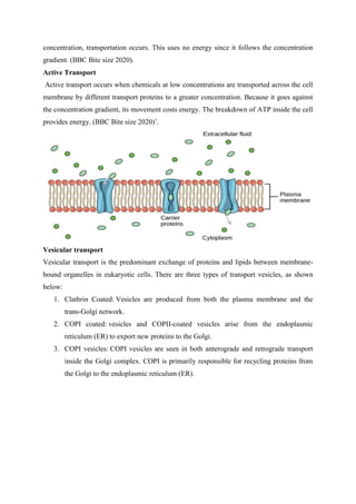 concentration, transportation occurs. This uses no energy since it follows the concentration
gradient. (BBC Bite size 2020).
Active Transport
Active transport occurs when chemicals at low concentrations are transported across the cell
membrane by different transport proteins to a greater concentration. Because it goes against
the concentration gradient, its movement costs energy. The breakdown of ATP inside the cell
provides energy. (BBC Bite size 2020)’.
Vesicular transport
Vesicular transport is the predominant exchange of proteins and lipids between membrane-
bound organelles in eukaryotic cells. There are three types of transport vesicles, as shown
below:
1. Clathrin Coated: Vesicles are produced from both the plasma membrane and the
trans-Golgi network.
2. COPI coated: vesicles and COPII-coated vesicles arise from the endoplasmic
reticulum (ER) to export new proteins to the Golgi.
3. COPI vesicles: COPI vesicles are seen in both anterograde and retrograde transport
inside the Golgi complex. COPI is primarily responsible for recycling proteins from
the Golgi to the endoplasmic reticulum (ER).
 