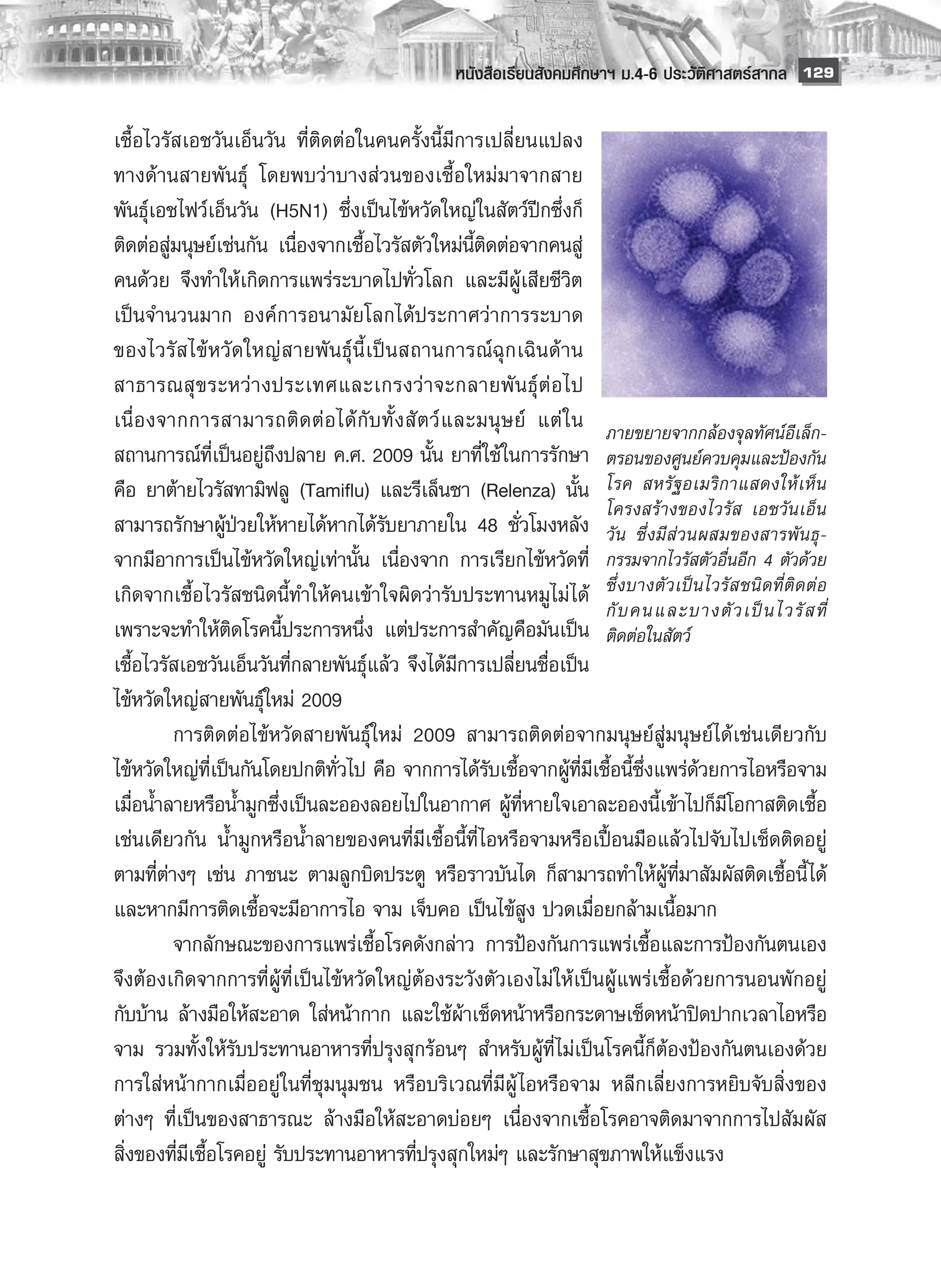 หนังสือเรียนสังคมศึกษาฯ ม.4-6 ประวัติศาสตร์สากล
 129

เชื้อไวรัสเอชวันเอ็นวัน ที่ติดต่อในคนครั้งนี้มีการเปลี่ยนแปลง
ทางด้านสายพันธ์ุ โดยพบว่าบางส่วนของเชื้อใหม่มาจากสาย
พันธุ์เอชไฟว์เอ็นวัน (H5N1) ซึ่งเป็นไข้หวัดใหญ่ในสัตว์ปีกซึ่งก็
ติดต่อสู่มนุษย์เช่นกัน เนื่องจากเชื้อไวรัสตัวใหม่นี้ติดต่อจากคนสู่
คนด้วย จึงทำให้เกิดการแพร่ระบาดไปทั่วโลก และมีผู้เสียชีวิต
เป็นจำนวนมาก องค์การอนามัยโลกได้ประกาศว่าการระบาด
ของไวรั ส ไข้ ห วั ด ใหญ่ ส ายพั น ธุ์ นี้ เ ป็ น สถานการณ์ ฉุ ก เฉิ น ด้ า น
สาธารณสุ ข ระหว่ า งประเทศและเกรงว่ า จะกลายพั น ธุ์ ต่ อ ไป
เนื่ อ งจากการสามารถติ ด ต่ อ ได้ กั บ ทั้ ง สั ต ว์ แ ละมนุ ษ ย์ แต่ ใ น ภายขยายจากกล้องจุลทัศน์อีเล็ก-
สถานการณ์ที่เป็นอยู่ถึงปลาย ค.ศ. 2009 นั้น ยาที่ใช้ในการรักษา ตรอนของศูนย์ควบคุมและป้องกัน
คือ ยาต้ายไวรัสทามิฟลู (Tamiflu) และรีเล็นซา (Relenza) นั้น โรค สหรั ฐ อเมริ ก าแสดงให้ เ ห็ น
                                                                              โครงสร้ า งของไวรั ส เอชวั น เอ็ น
สามารถรักษาผู้ป่วยให้หายได้หากได้รับยาภายใน 48 ชั่วโมงหลัง วัน ซึ่งมีส่วนผสมของสารพันธุ-
จากมีอาการเป็นไข้หวัดใหญ่เท่านั้น เนื่องจาก การเรียกไข้หวัดที่ กรรมจากไวรัสตัวอื่นอีก 4 ตัวด้วย
เกิดจากเชื้อไวรัสชนิดนี้ทำให้คนเข้าใจผิดว่ารับประทานหมูไม่ ได้ ซึ่ ง บางตั ว เป็ น ไวรั ส ชนิ ด ที่ ติ ด ต่ อ
                                                                              กั บ คนและบางตั ว เป็ น ไวรั ส ที่
เพราะจะทำให้ติดโรคนี้ประการหนึ่ง แต่ประการสำคัญคือมันเป็น ติดต่อในสัตว์
เชื้อไวรัสเอชวันเอ็นวันที่กลายพันธุ์แล้ว จึงได้มีการเปลี่ยนชื่อเป็น
ไข้หวัดใหญ่สายพันธุ์ใหม่ 2009
          การติดต่อไข้หวัดสายพันธุ์ใหม่ 2009 สามารถติดต่อจากมนุษย์สู่มนุษย์ได้เช่นเดียวกับ
ไข้หวัดใหญ่ที่เป็นกันโดยปกติทั่วไป คือ จากการได้รับเชื้อจากผู้ที่มีเชื้อนี้ซึ่งแพร่ด้วยการไอหรือจาม
เมื่อน้ำลายหรือน้ำมูกซึ่งเป็นละอองลอยไปในอากาศ ผู้ที่หายใจเอาละอองนี้เข้าไปก็มีโอกาสติดเชื้อ
เช่นเดียวกัน น้ำมูกหรือน้ำลายของคนที่มีเชื้อนี้ที่ไอหรือจามหรือเปื้อนมือแล้วไปจับไปเช็ดติดอยู่
ตามที่ต่างๆ เช่น ภาชนะ ตามลูกบิดประตู หรือราวบันได ก็สามารถทำให้ผู้ที่มาสัมผัสติดเชื้อนี้ ได้
และหากมีการติดเชื้อจะมีอาการไอ จาม เจ็บคอ เป็นไข้สูง ปวดเมื่อยกล้ามเนื้อมาก
          จากลักษณะของการแพร่เชื้อโรคดังกล่าว การป้องกันการแพร่เชื้อและการป้องกันตนเอง
จึงต้องเกิดจากการที่ผู้ที่เป็นไข้หวัดใหญ่ต้องระวังตัวเองไม่ ให้เป็นผู้แพร่เชื้อด้วยการนอนพักอยู่
กับบ้าน ล้างมือให้สะอาด ใส่หน้ากาก และใช้ผ้าเช็ดหน้าหรือกระดาษเช็ดหน้าปิดปากเวลาไอหรือ
จาม รวมทั้งให้รับประทานอาหารที่ปรุงสุกร้อนๆ สำหรับผู้ที่ไม่เป็นโรคนี้ก็ต้องป้องกันตนเองด้วย
การใส่หน้ากากเมื่ออยู่ในที่ชุมนุมชน หรือบริเวณที่มีผู้ ไอหรือจาม หลีกเลี่ยงการหยิบจับสิ่งของ
ต่างๆ ที่เป็นของสาธารณะ ล้างมือให้สะอาดบ่อยๆ เนื่องจากเชื้อโรคอาจติดมาจากการไปสัมผัส
สิ่งของที่มีเชื้อโรคอยู่ รับประทานอาหารที่ปรุงสุกใหม่ๆ และรักษาสุขภาพให้แข็งแรง 
            
 