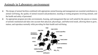 Unit 5_251130_234323.pdf animal research | PDF