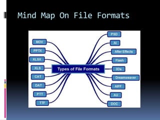 Mind Map On File Formats
 