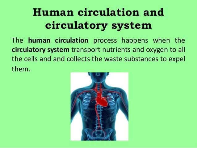Unit 5: Circulatory system
