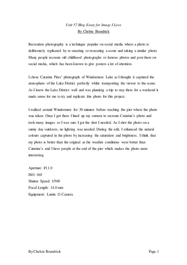 What is a synthesis essay image