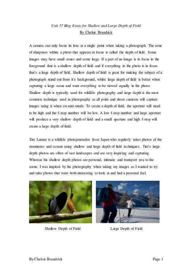 Synthesis essay example picture