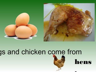 gs and chicken come from
hens