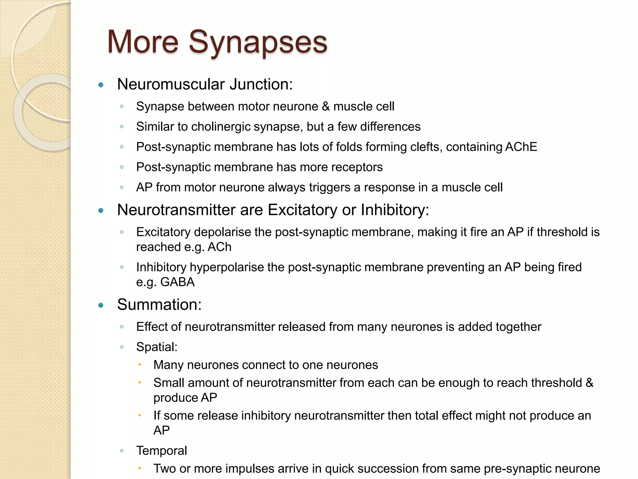 More Synapses
 Neuromuscular Junction:
◦ Synapse between motor neurone & muscle cell
◦ Similar to cholinergic synapse, but a few differences
◦ Post-synaptic membrane has lots of folds forming clefts, containing AChE
◦ Post-synaptic membrane has more receptors
◦ AP from motor neurone always triggers a response in a muscle cell
 Neurotransmitter are Excitatory or Inhibitory:
◦ Excitatory depolarise the post-synaptic membrane, making it fire an AP if threshold is
reached e.g. ACh
◦ Inhibitory hyperpolarise the post-synaptic membrane preventing an AP being fired
e.g. GABA
 Summation:
◦ Effect of neurotransmitter released from many neurones is added together
◦ Spatial:
 Many neurones connect to one neurones
 Small amount of neurotransmitter from each can be enough to reach threshold &
produce AP
 If some release inhibitory neurotransmitter then total effect might not produce an
AP
◦ Temporal
 Two or more impulses arrive in quick succession from same pre-synaptic neurone
 