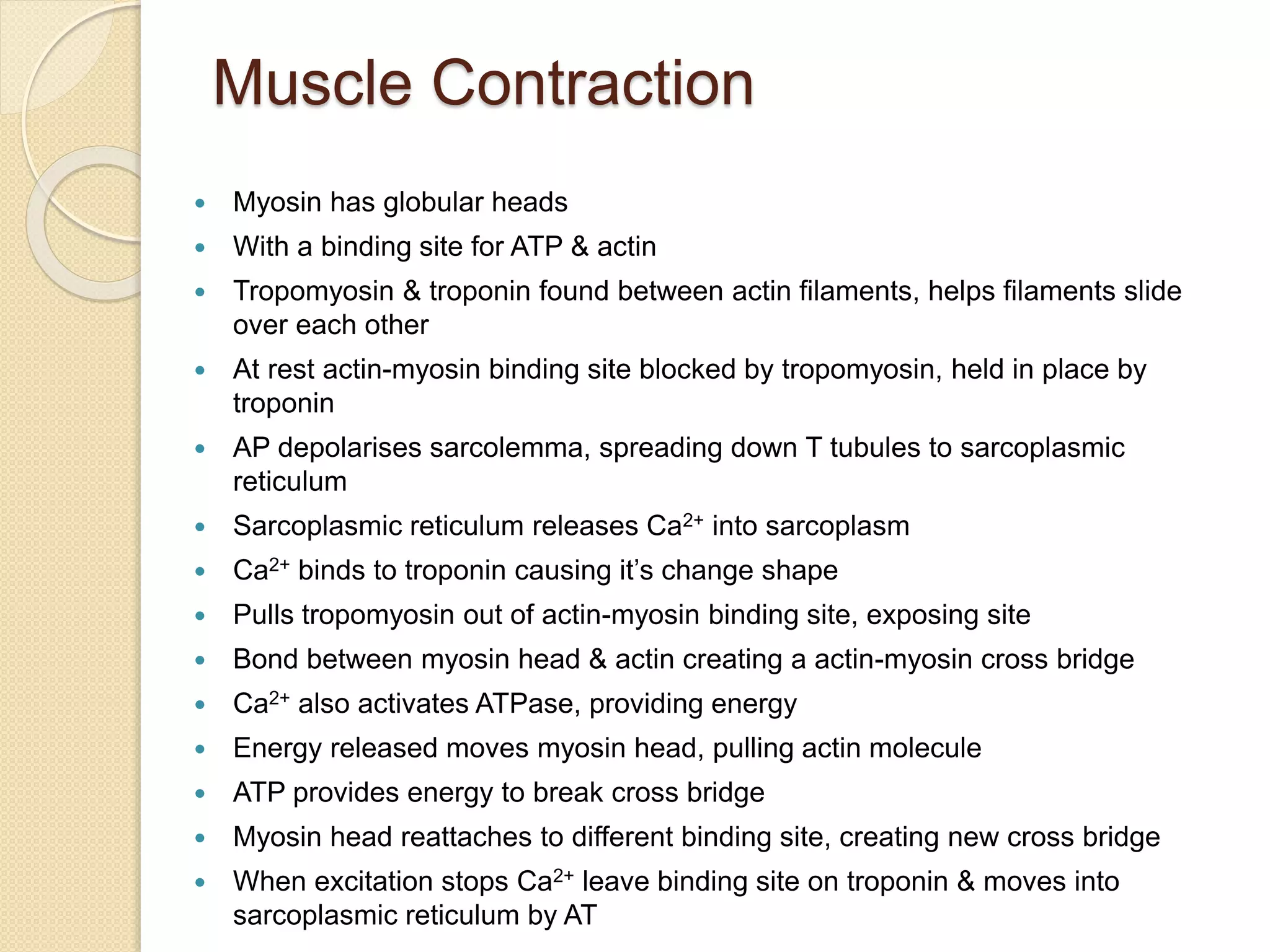Muscle Contraction
 Myosin has globular heads
 With a binding site for ATP & actin
 Tropomyosin & troponin found between actin filaments, helps filaments slide
over each other
 At rest actin-myosin binding site blocked by tropomyosin, held in place by
troponin
 AP depolarises sarcolemma, spreading down T tubules to sarcoplasmic
reticulum
 Sarcoplasmic reticulum releases Ca2+ into sarcoplasm
 Ca2+ binds to troponin causing it’s change shape
 Pulls tropomyosin out of actin-myosin binding site, exposing site
 Bond between myosin head & actin creating a actin-myosin cross bridge
 Ca2+ also activates ATPase, providing energy
 Energy released moves myosin head, pulling actin molecule
 ATP provides energy to break cross bridge
 Myosin head reattaches to different binding site, creating new cross bridge
 When excitation stops Ca2+ leave binding site on troponin & moves into
sarcoplasmic reticulum by AT
 
