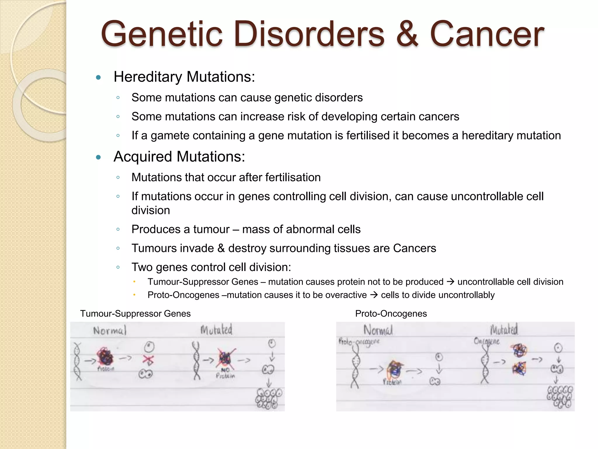 Genetic Disorders & Cancer
 Hereditary Mutations:
◦ Some mutations can cause genetic disorders
◦ Some mutations can increase risk of developing certain cancers
◦ If a gamete containing a gene mutation is fertilised it becomes a hereditary mutation
 Acquired Mutations:
◦ Mutations that occur after fertilisation
◦ If mutations occur in genes controlling cell division, can cause uncontrollable cell
division
◦ Produces a tumour – mass of abnormal cells
◦ Tumours invade & destroy surrounding tissues are Cancers
◦ Two genes control cell division:
 Tumour-Suppressor Genes – mutation causes protein not to be produced  uncontrollable cell division
 Proto-Oncogenes –mutation causes it to be overactive  cells to divide uncontrollably
Proto-OncogenesTumour-Suppressor Genes
 