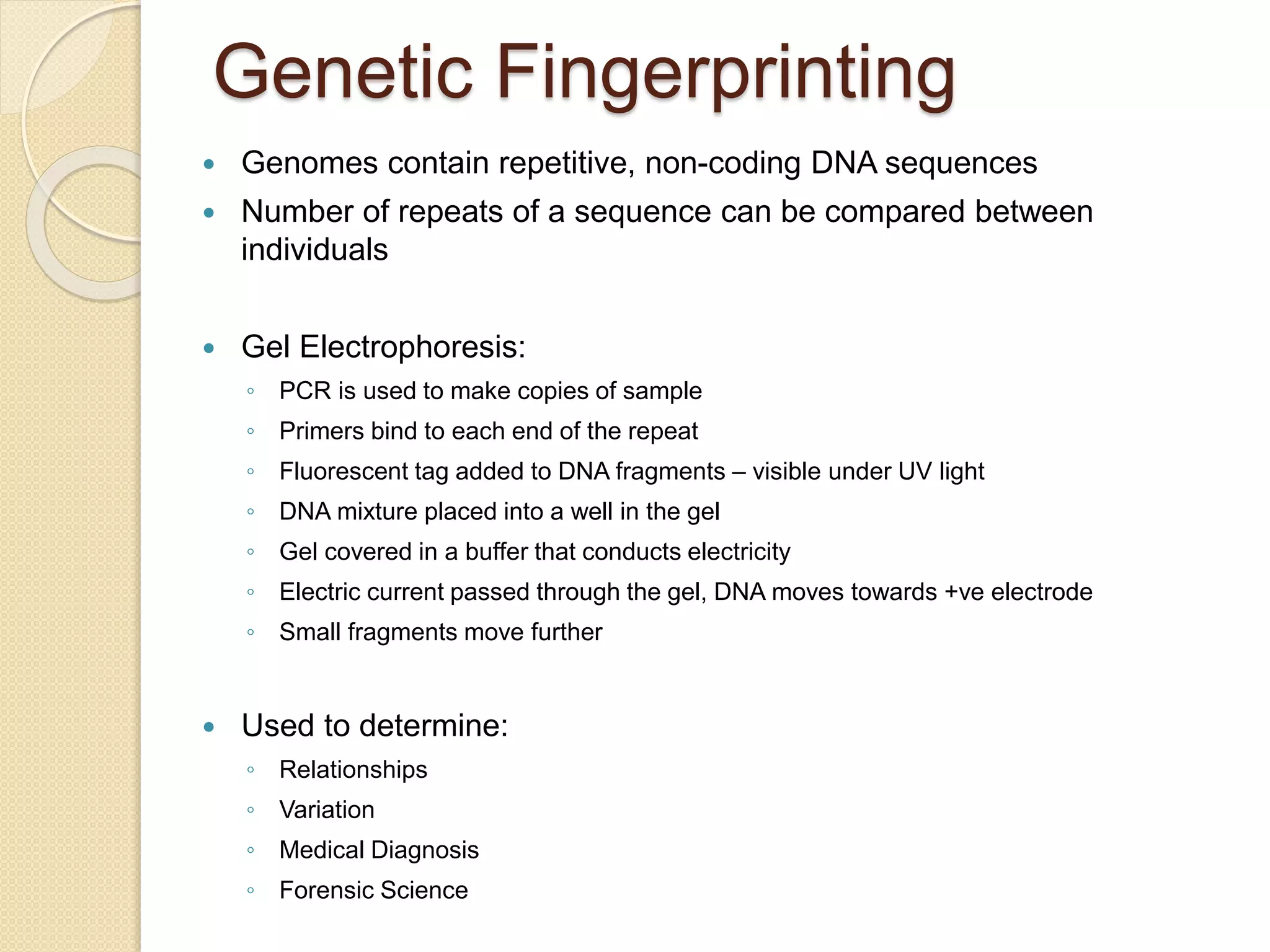 Genetic Fingerprinting
 Genomes contain repetitive, non-coding DNA sequences
 Number of repeats of a sequence can be compared between
individuals
 Gel Electrophoresis:
◦ PCR is used to make copies of sample
◦ Primers bind to each end of the repeat
◦ Fluorescent tag added to DNA fragments – visible under UV light
◦ DNA mixture placed into a well in the gel
◦ Gel covered in a buffer that conducts electricity
◦ Electric current passed through the gel, DNA moves towards +ve electrode
◦ Small fragments move further
 Used to determine:
◦ Relationships
◦ Variation
◦ Medical Diagnosis
◦ Forensic Science
 