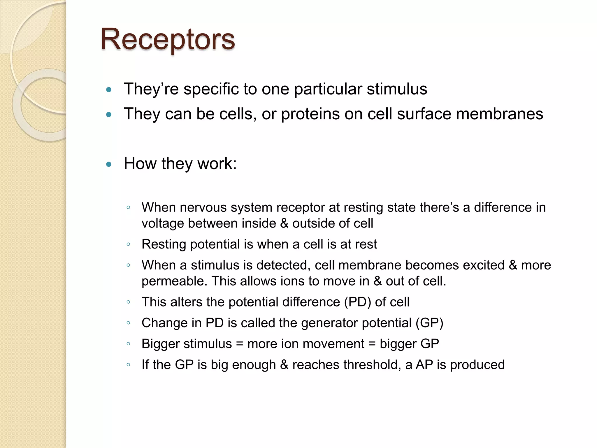  They’re specific to one particular stimulus
 They can be cells, or proteins on cell surface membranes
 How they work:
◦ When nervous system receptor at resting state there’s a difference in
voltage between inside & outside of cell
◦ Resting potential is when a cell is at rest
◦ When a stimulus is detected, cell membrane becomes excited & more
permeable. This allows ions to move in & out of cell.
◦ This alters the potential difference (PD) of cell
◦ Change in PD is called the generator potential (GP)
◦ Bigger stimulus = more ion movement = bigger GP
◦ If the GP is big enough & reaches threshold, a AP is produced
Receptors
 