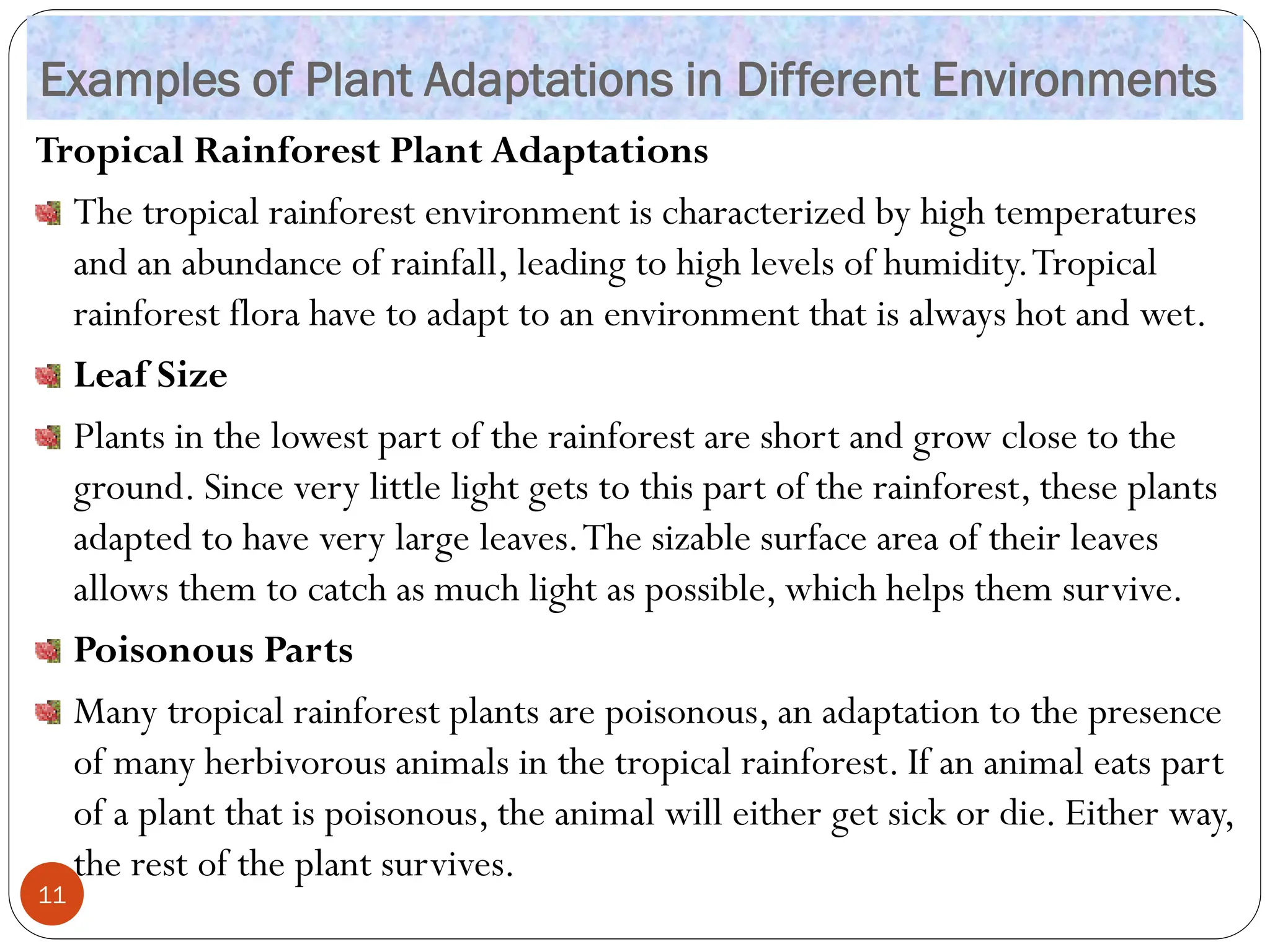 Examples of Plant Adaptations in Different Environments
Tropical Rainforest Plant Adaptations
The tropical rainforest environment is characterized by high temperatures
and an abundance of rainfall, leading to high levels of humidity.Tropical
rainforest flora have to adapt to an environment that is always hot and wet.
Leaf Size
Plants in the lowest part of the rainforest are short and grow close to the
ground. Since very little light gets to this part of the rainforest, these plants
adapted to have very large leaves.The sizable surface area of their leaves
allows them to catch as much light as possible, which helps them survive.
Poisonous Parts
Many tropical rainforest plants are poisonous, an adaptation to the presence
of many herbivorous animals in the tropical rainforest. If an animal eats part
of a plant that is poisonous, the animal will either get sick or die. Either way,
the rest of the plant survives.
11
 