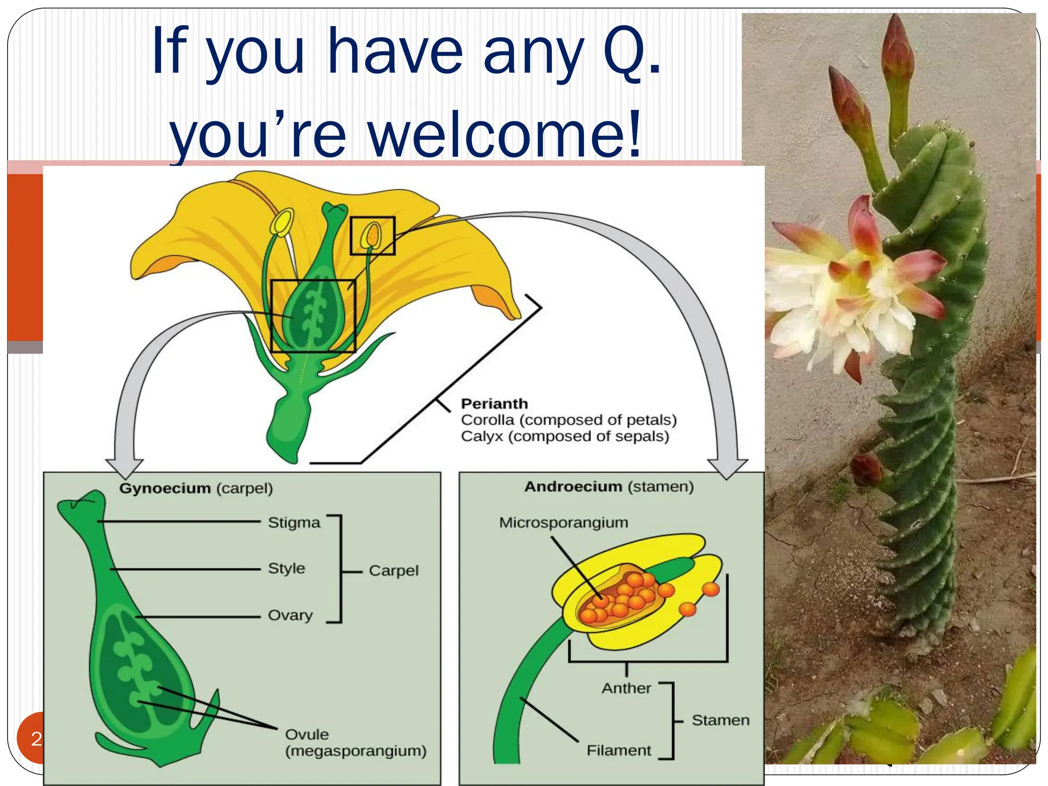 20
If you have any Q.
you’re welcome!
 