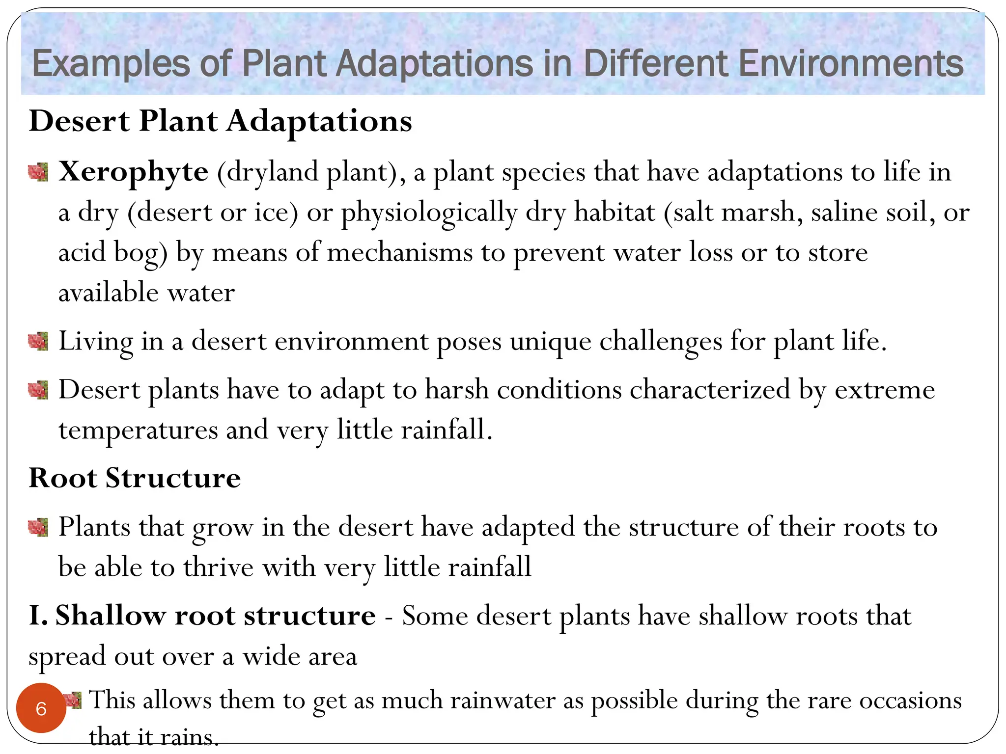 Examples of Plant Adaptations in Different Environments
Desert Plant Adaptations
Xerophyte (dryland plant), a plant species that have adaptations to life in
a dry (desert or ice) or physiologically dry habitat (salt marsh, saline soil, or
acid bog) by means of mechanisms to prevent water loss or to store
available water
Living in a desert environment poses unique challenges for plant life.
Desert plants have to adapt to harsh conditions characterized by extreme
temperatures and very little rainfall.
Root Structure
Plants that grow in the desert have adapted the structure of their roots to
be able to thrive with very little rainfall
I. Shallow root structure - Some desert plants have shallow roots that
spread out over a wide area
This allows them to get as much rainwater as possible during the rare occasions
that it rains.
6
 