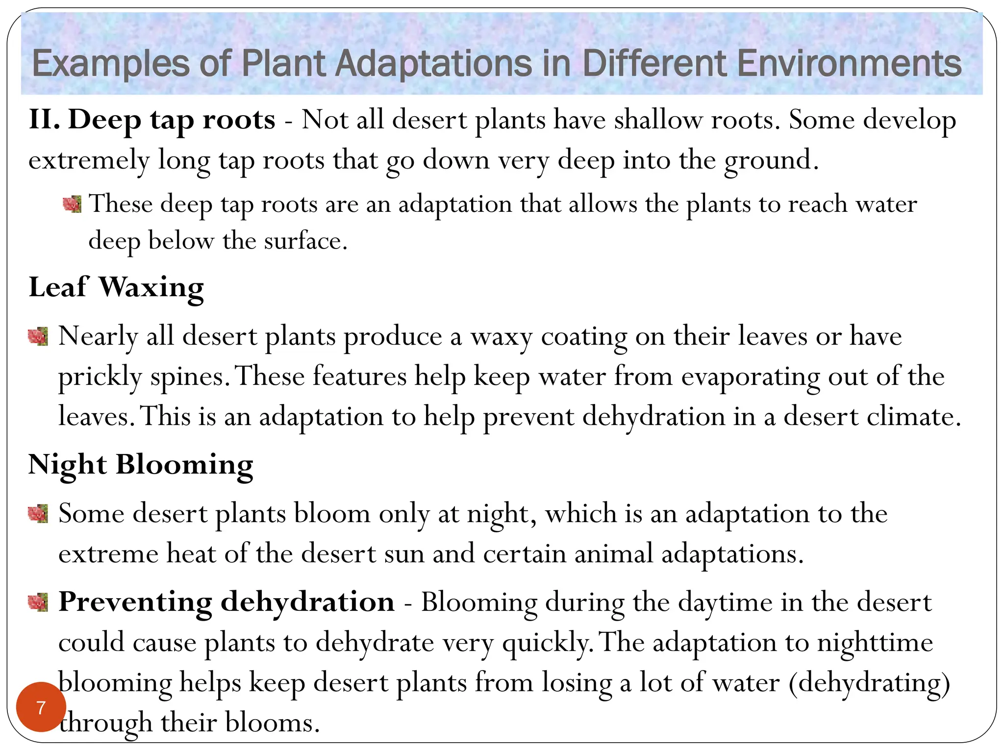 Examples of Plant Adaptations in Different Environments
II. Deep tap roots - Not all desert plants have shallow roots. Some develop
extremely long tap roots that go down very deep into the ground.
These deep tap roots are an adaptation that allows the plants to reach water
deep below the surface.
Leaf Waxing
Nearly all desert plants produce a waxy coating on their leaves or have
prickly spines.These features help keep water from evaporating out of the
leaves.This is an adaptation to help prevent dehydration in a desert climate.
Night Blooming
Some desert plants bloom only at night, which is an adaptation to the
extreme heat of the desert sun and certain animal adaptations.
Preventing dehydration - Blooming during the daytime in the desert
could cause plants to dehydrate very quickly.The adaptation to nighttime
blooming helps keep desert plants from losing a lot of water (dehydrating)
through their blooms.
7
 