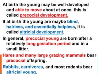 Unit 5 animal reproduction and development | PPTX