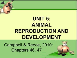 UNIT 5:
ANIMAL
REPRODUCTION AND
DEVELOPMENT
Campbell & Reece, 2010:
Chapters 46, 47
 