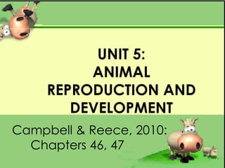 UNIT 5:
ANIMAL
REPRODUCTION AND
DEVELOPMENT
Campbell & Reece, 2010:
Chapters 46, 47
 