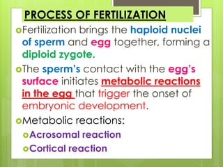 Unit 5 animal reproduction and development | PPTX