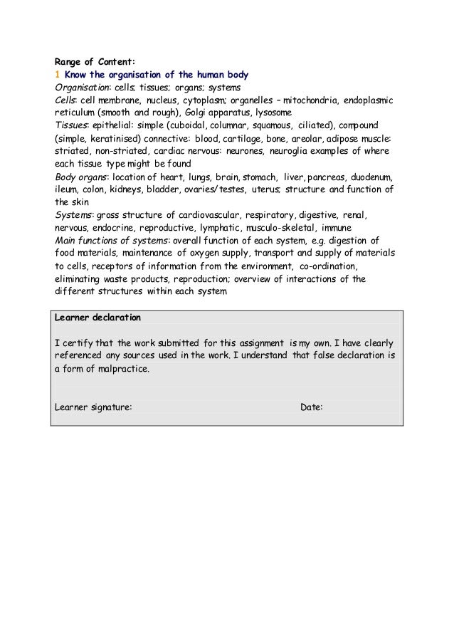 unit 4 dttls assignment Level 3: unit 4 it project this unit unit 4 project which is double weighted and also the games design unit (unit 12) - so three units in all assignment. unit 4 dttls assignment Level 3: unit 4 it project this unit unit 4 project which is double weighted and also the games design unit (unit 12) - so three units in all assignment.