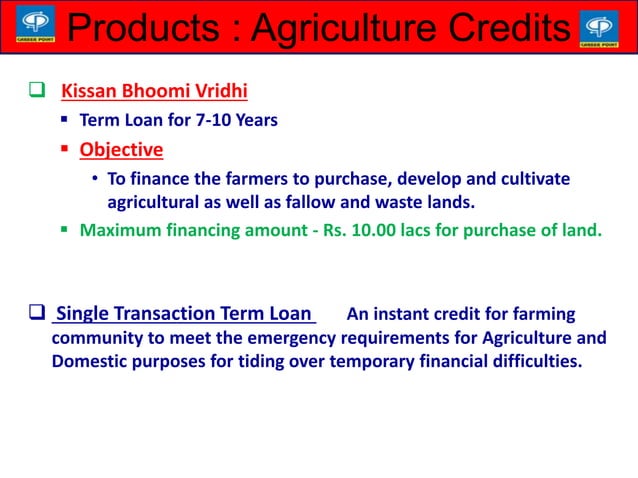 Rural Banking in India | PPTX | Business Loans | Business Banking & Finance