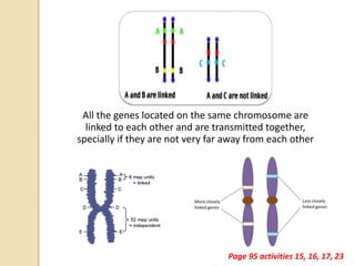 Unit5 Biological Inheritance | PPTX