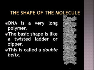 Nucleic Acid | PPTX