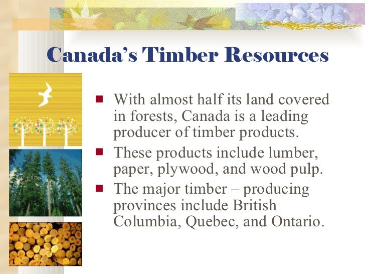 The Influence Of Smoking In Canada The Influence Of Smoking In Canada