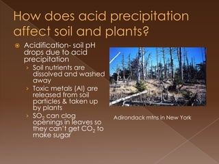  Acidification- soil pH
drops due to acid
precipitation
› Soil nutrients are
dissolved and washed
away
› Toxic metals (Al) are
released from soil
particles & taken up
by plants
› SO2 can clog
openings in leaves so
they can’t get CO2 to
make sugar
Adirondack mtns in New York
 