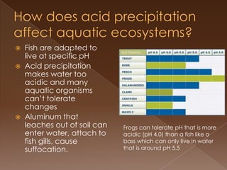  Fish are adapted to
live at specific pH
 Acid precipitation
makes water too
acidic and many
aquatic organisms
can’t tolerate
changes
 Aluminum that
leaches out of soil can
enter water, attach to
fish gills, cause
suffocation.
Frogs can tolerate pH that is more
acidic (pH 4.0) than a fish like a
bass which can only live in water
that is around pH 5.5
 