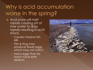  Acid snow will melt
rapidly causing pH of
river water to drop
rapidly resulting in acid
shock.
› Causes massive fish
kills
› Fish & frog may
produce fewer eggs
which may not hatch
› Many eggs that do
hatch have birth
defects.
 