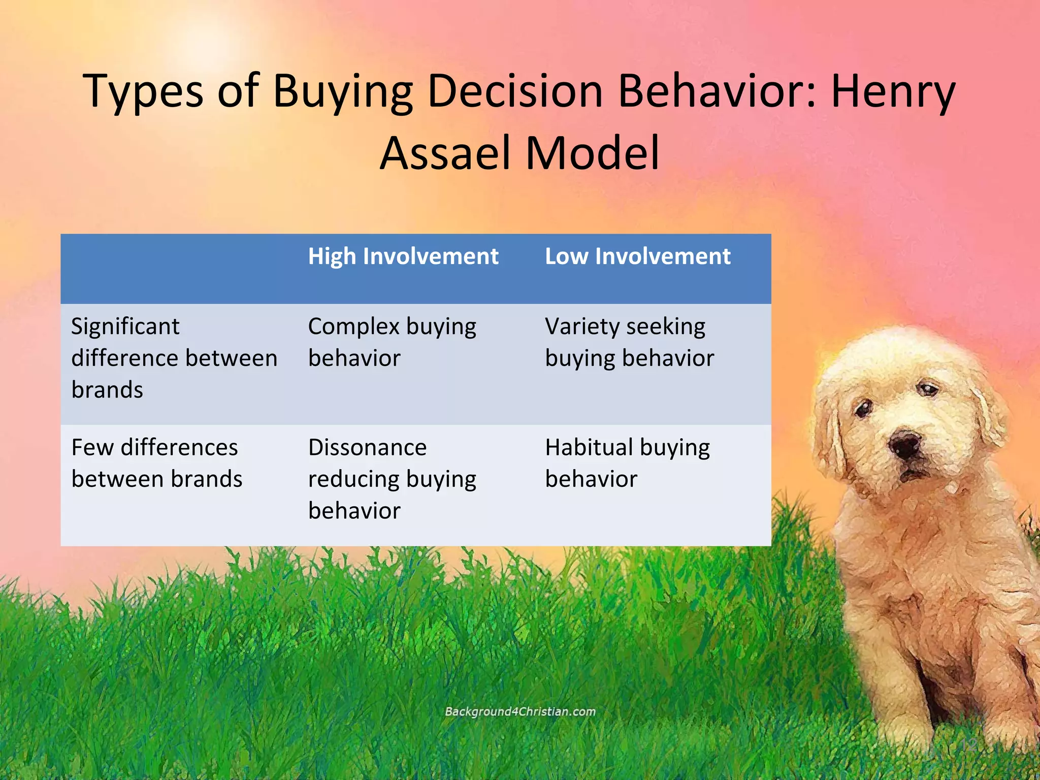 Types of Buying Decision Behavior: Henry
              Assael Model
                     High Involvement   Low Involvement

Significant          Complex buying     Variety seeking
difference between   behavior           buying behavior
brands

Few differences      Dissonance         Habitual buying
between brands       reducing buying    behavior
                     behavior




                                                          12
 