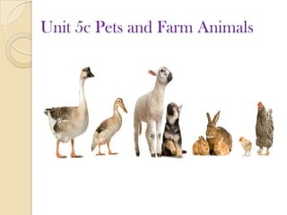 Unit 5c Pets and Farm Animals
 